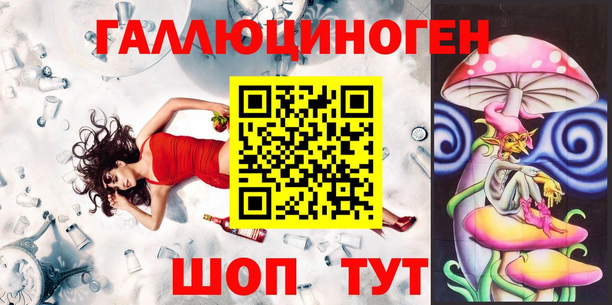 Псилоцибиновые грибы Psilocybe  где купить наркоту  Ессентуки  Вход с VPN  Псилоцибиновые грибы Magic Shrooms 